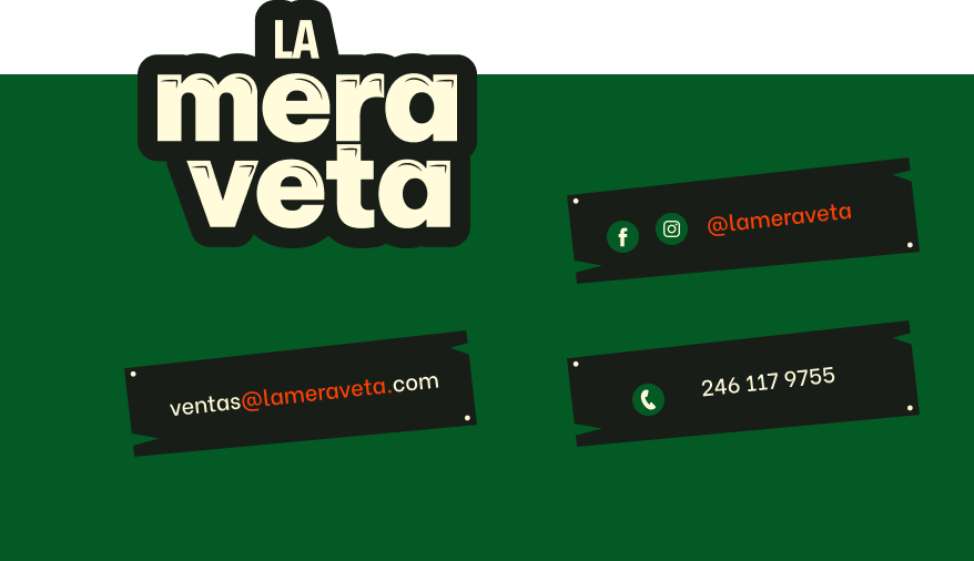 Horarios